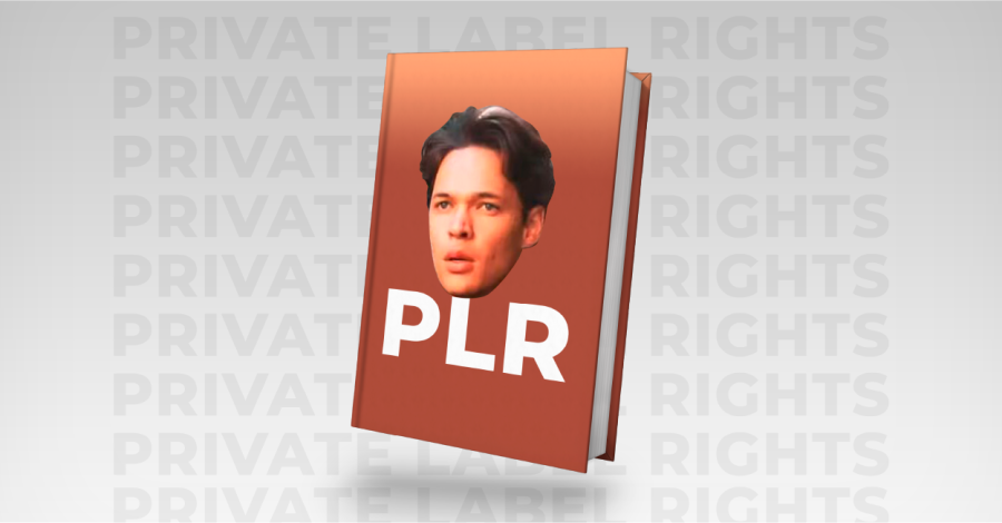PLR Marketing Digital: O que é PLR? Como Ganhar Dinheiro?